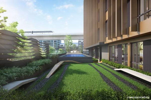 �ç��� Brown Condo ����¸Թ - �оҹ����